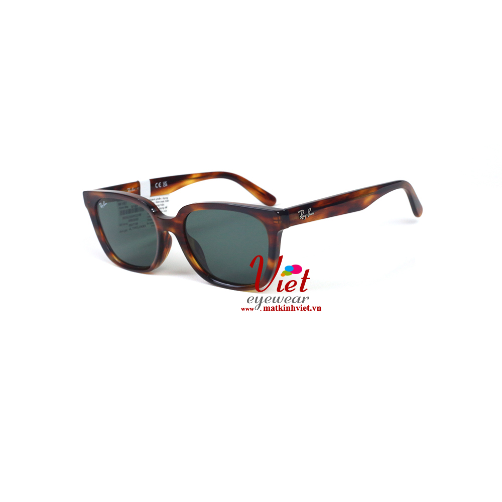 Kính mát RayBan RB2243D 954/71
